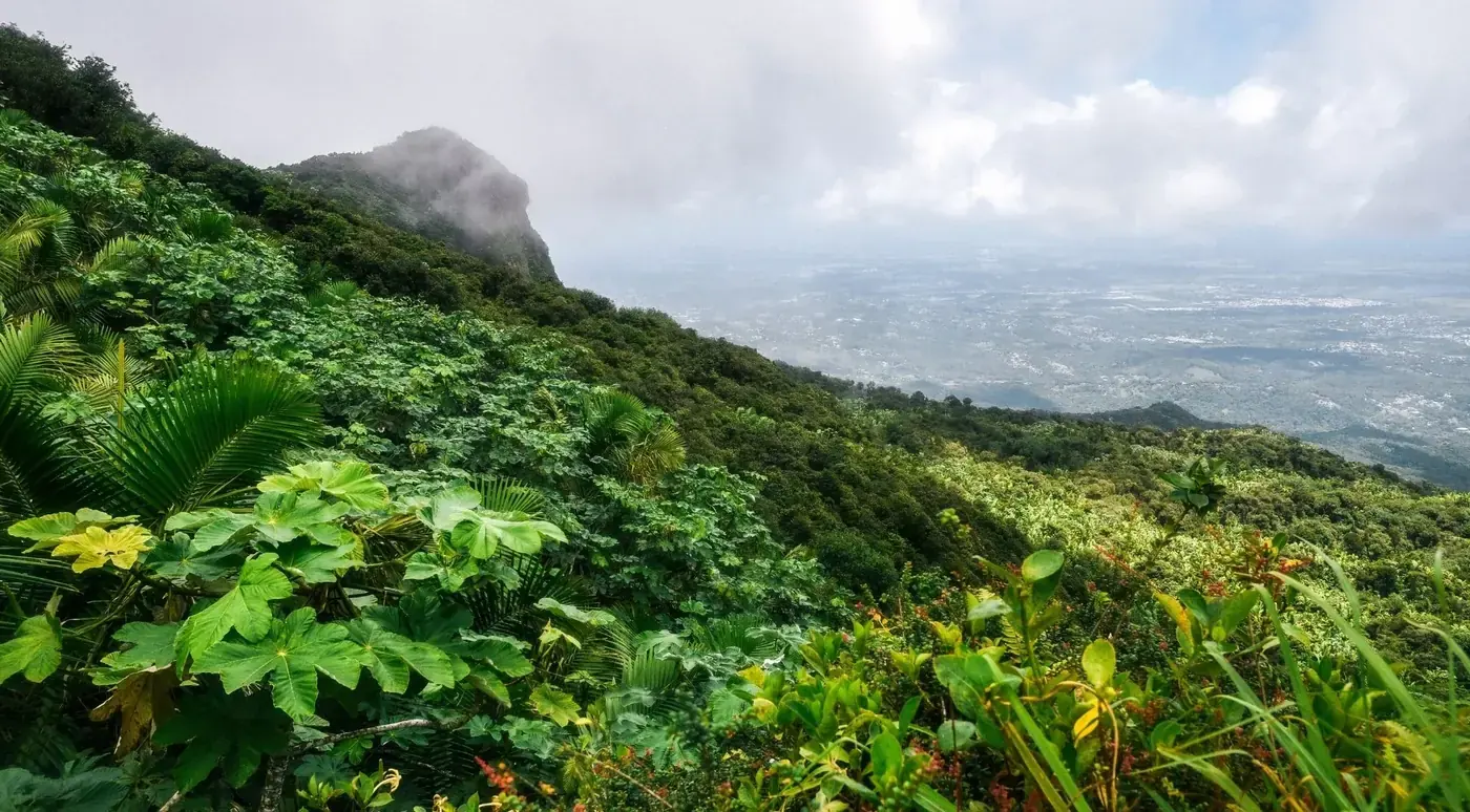 A green ridge in El Yunque falling away toward the north coast of Puerto Rico