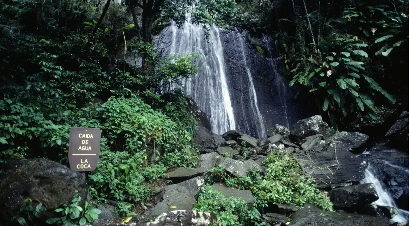 La Coca Falls running down a dark rock face beside the forest road