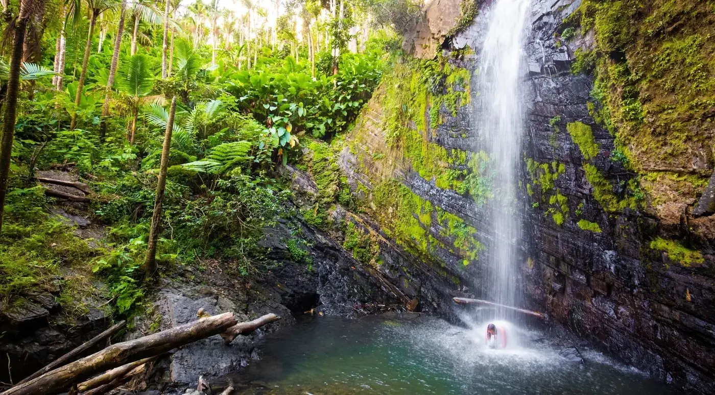 A waterfall dropping into a deep green pool at the bottom of a gorge