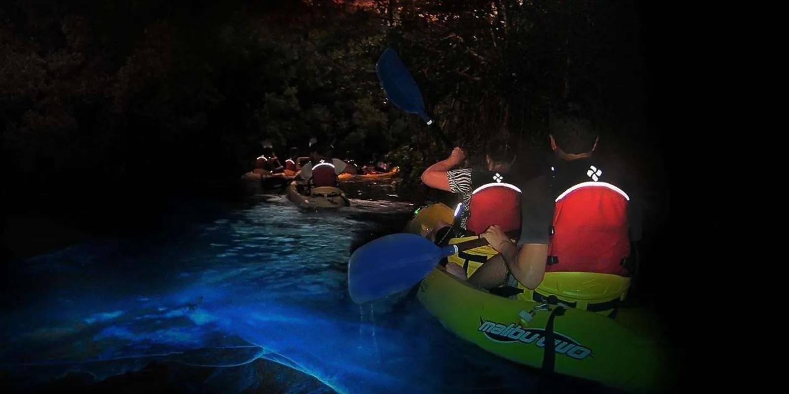 Kayakers paddling through the glowing water of Laguna Grande after dark