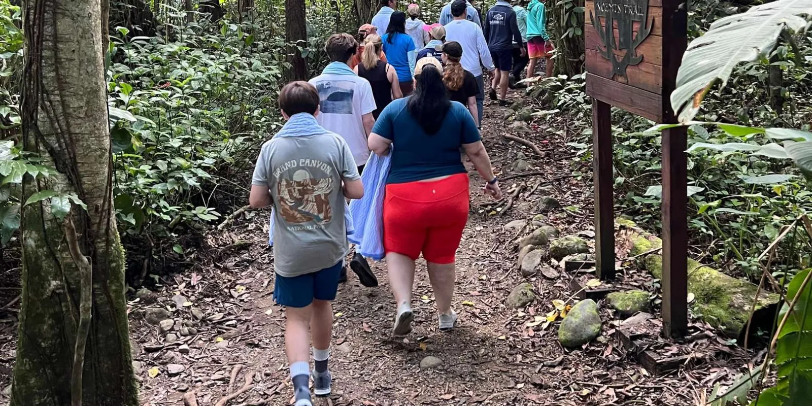 Visitors walking a paved forest trail between buttressed trees