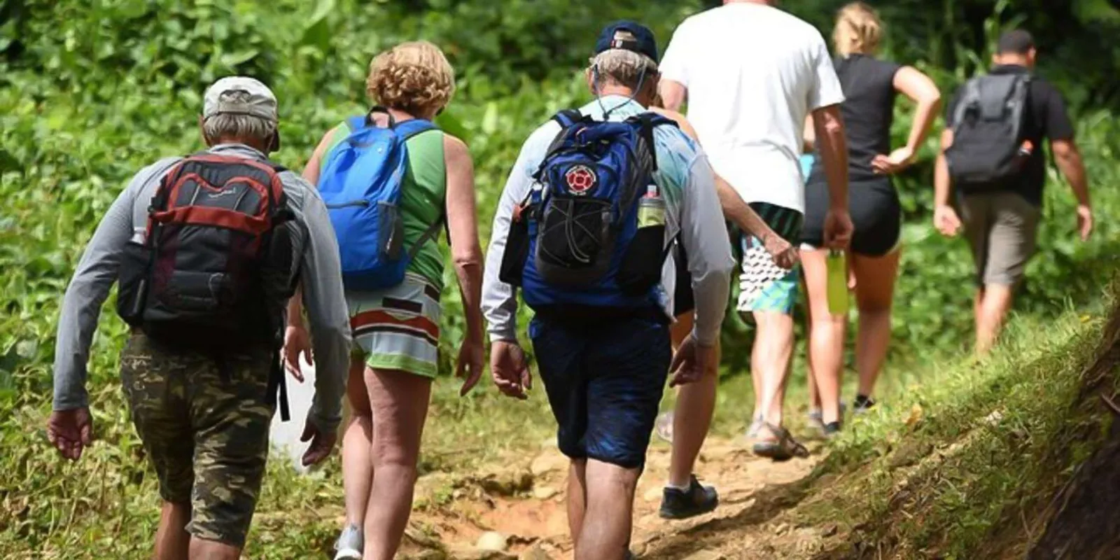 A small group hiking single file up the dirt path through the forest