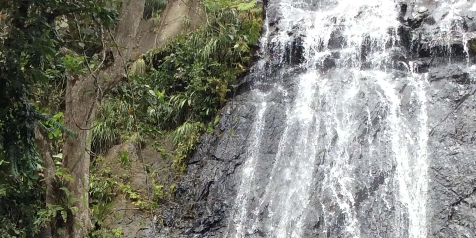 A tall cascade running down the rock face inside El Yunque