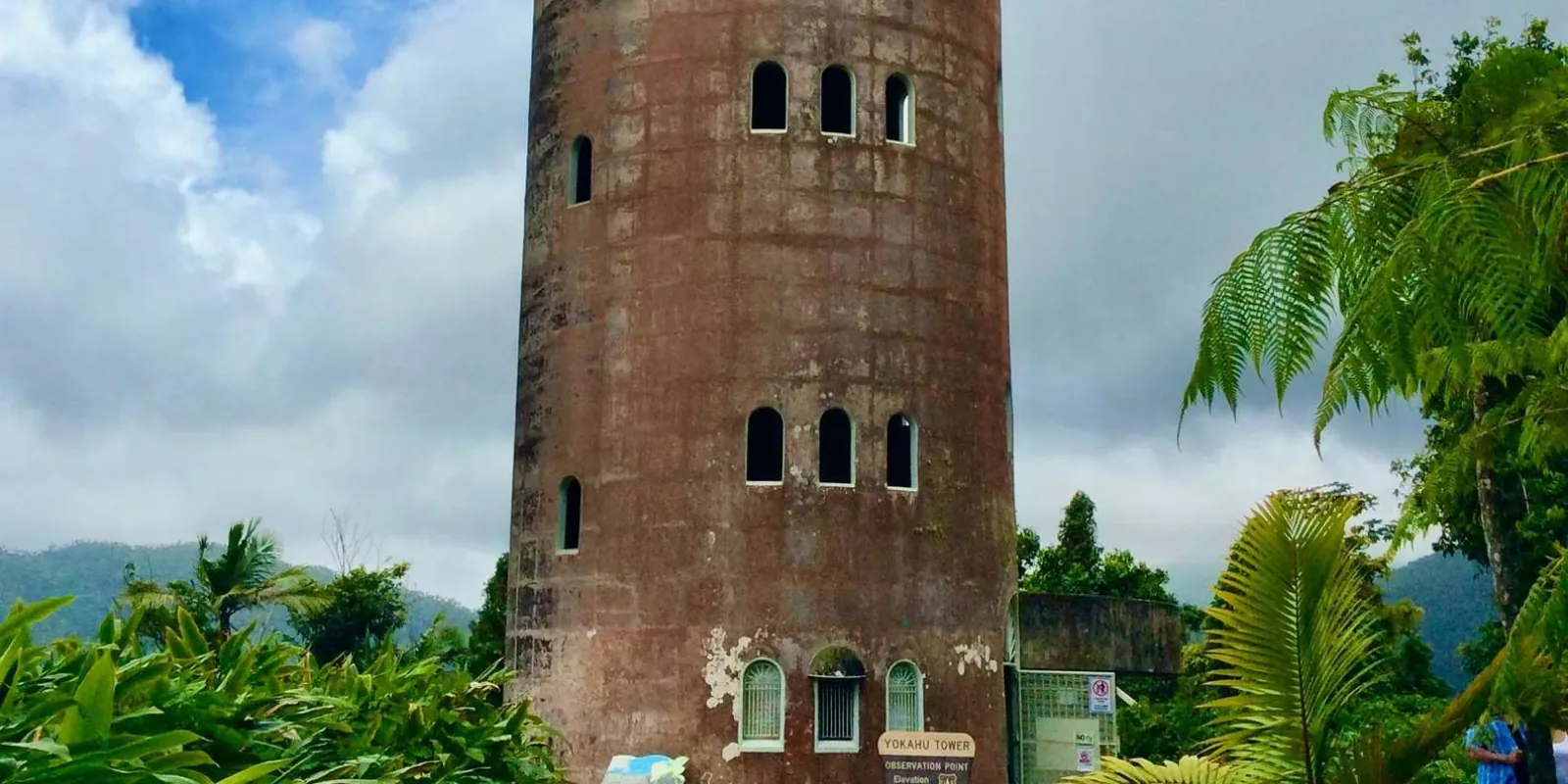 Yokahú Tower standing above the canopy on the forest road