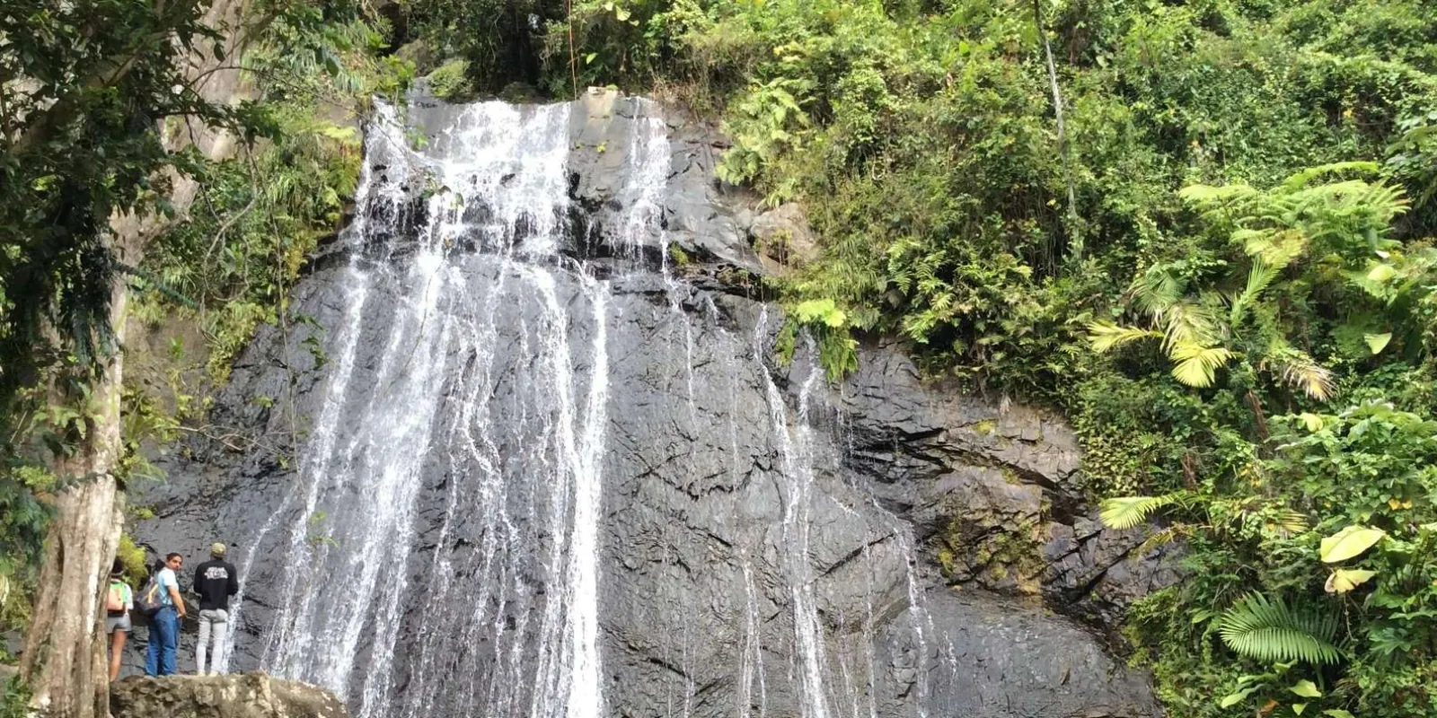 Visitors at the foot of a broad waterfall in the forest