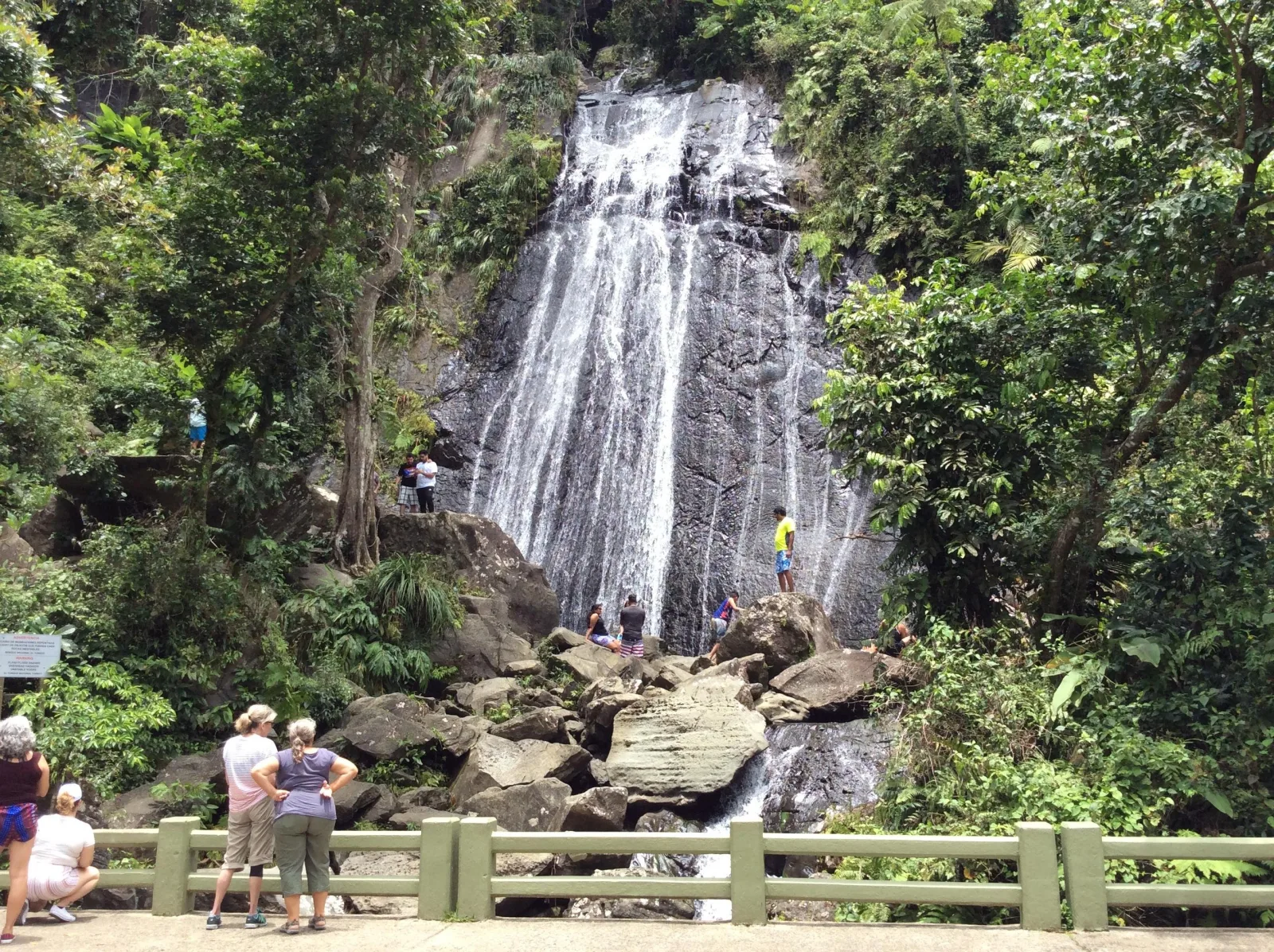 San Juan: El Yunque Rainforest Guided Tour