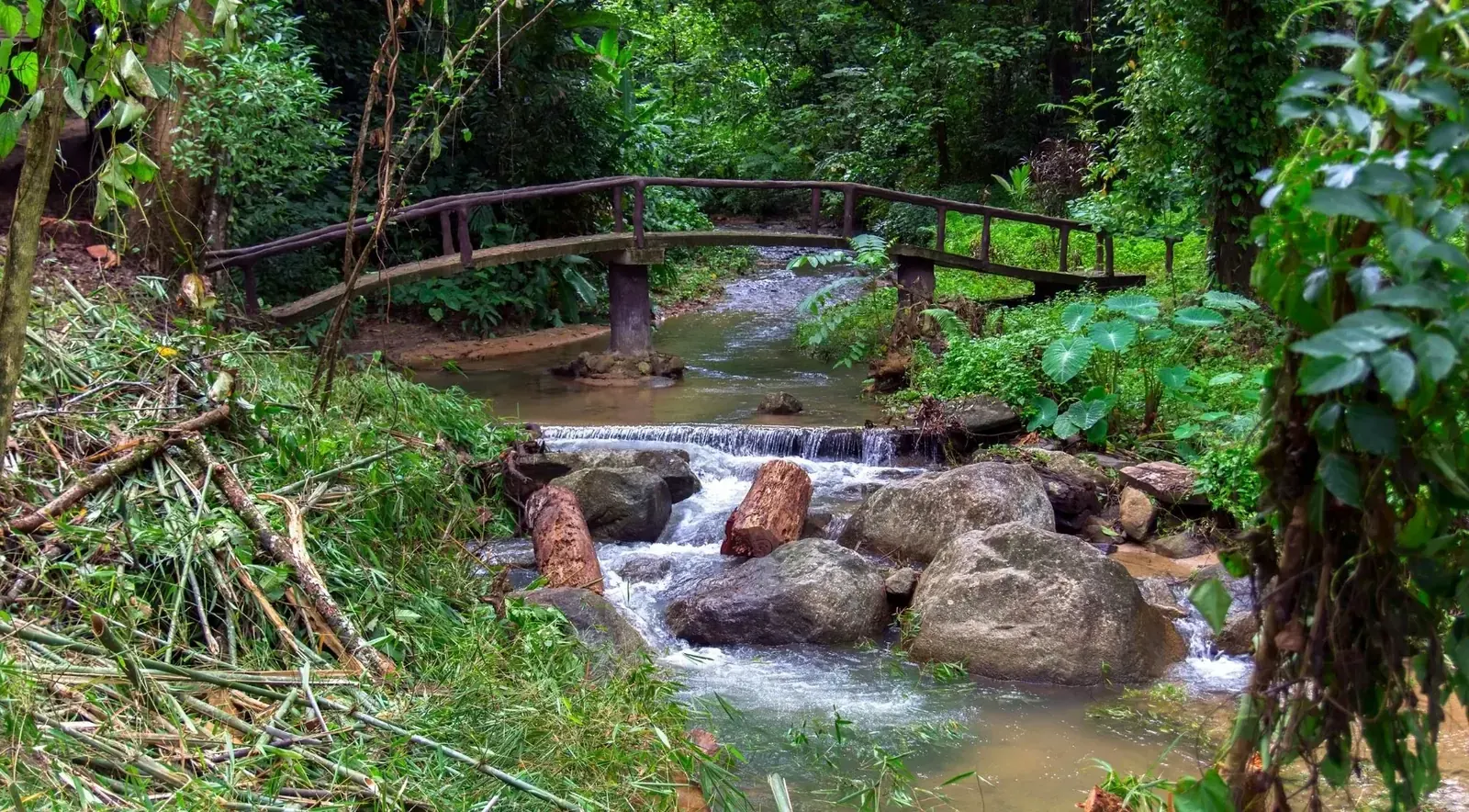 A small cascade spilling between mossy boulders on a river in El Yunque