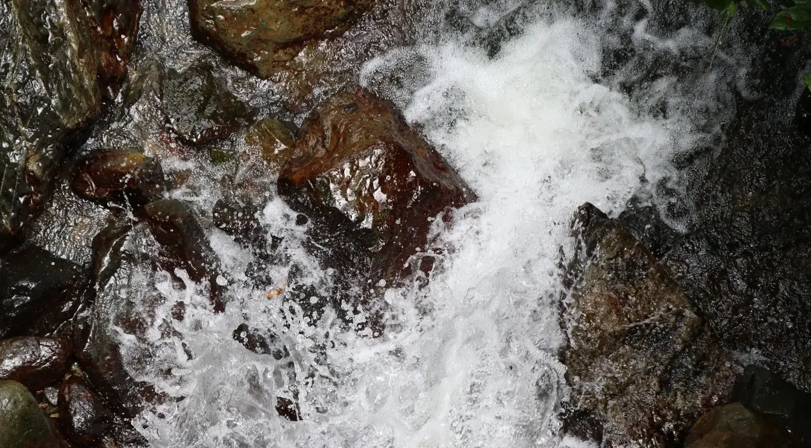 Whitewater pouring over dark rock in an El Yunque river after rain
