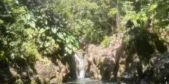 Guest photo from review